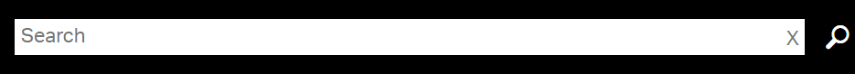 Screenshot of the search bar