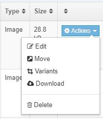 Actions available for media items