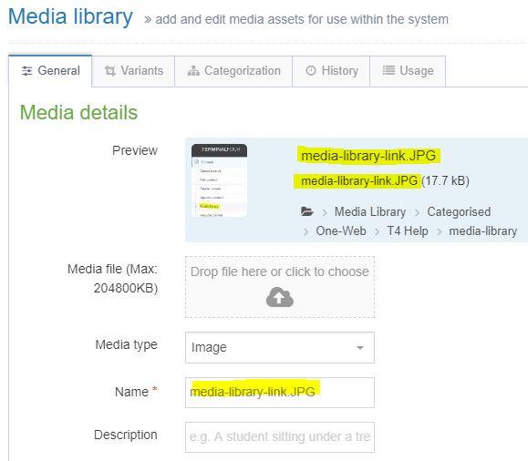 Media item properties