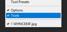 Photoshop options and tools display