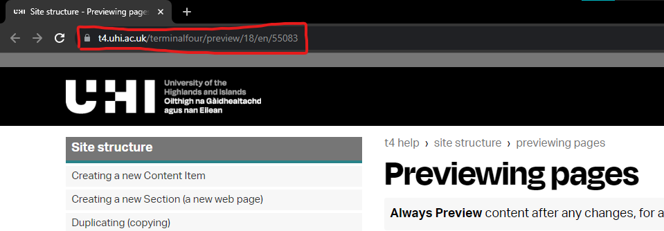 Screenshot of a preview tab link