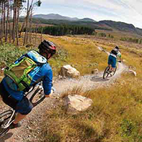 Sample image - square 200px Sample image - square 200px